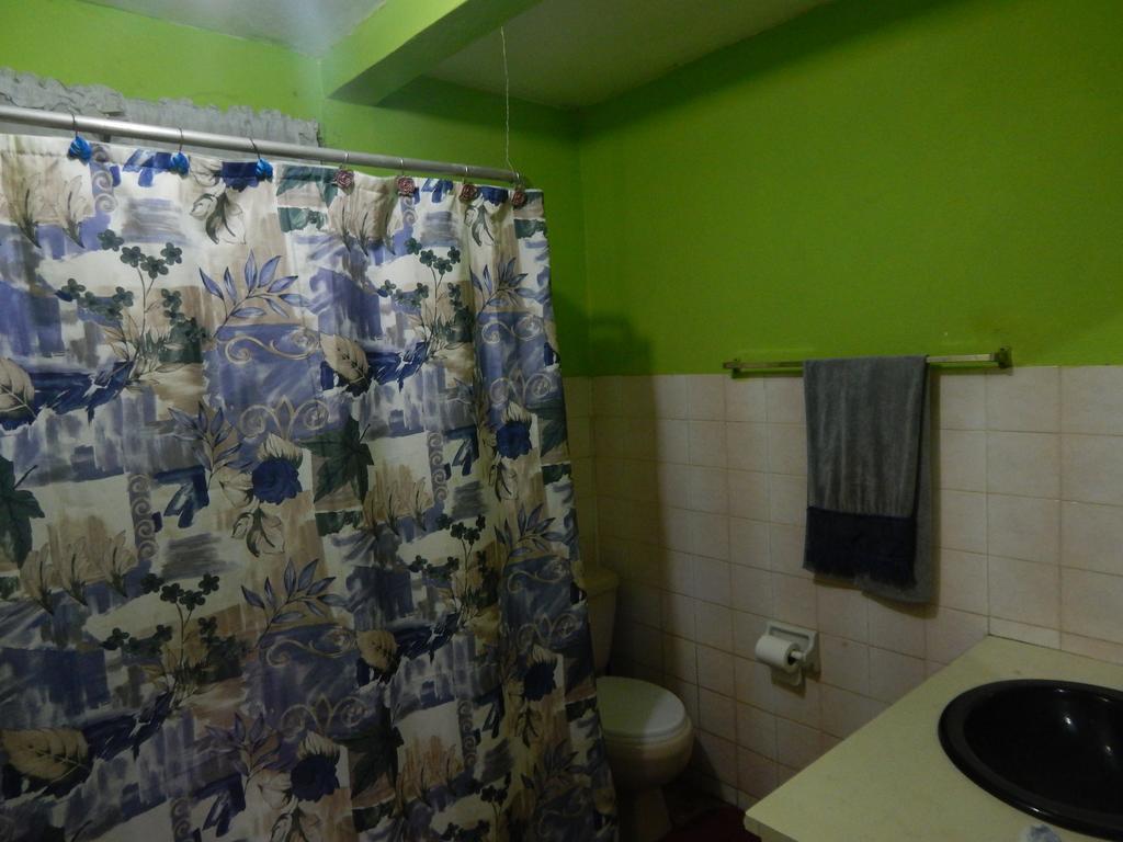 Lion'S Pride Apartment Kingston Room photo